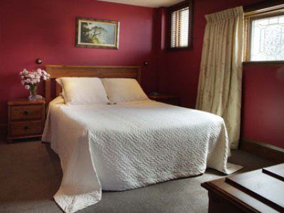 فندق Elm Tree House كريستتشيرش المظهر الخارجي الصورة